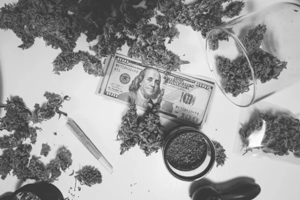Pączek Marihuany Banknoty Dolarów Białe Tło Pąki Trawki Zioło Cbd — Zdjęcie stockowe