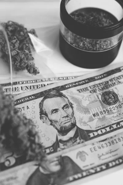 大麻钱黑市 白色背景 Sativa医疗健康 大麻芽和美元钞票 钱是杂草 Cbd Thc香草 锅子发芽了 黑人和白人 — 图库照片