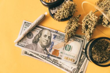 Ekonomi 'de esrar. Esrar. Sativa THC CBD. Indica sağlık sigortası. Esrar tomurcuğu ve öğütücü. Marihuana tomurcuğu ve dolar banknotları. Esrar parası kara borsa. Para otu.