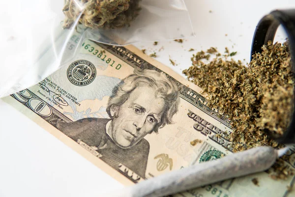 The pot buds. Cannabis money black market. White background. Sativa medical health. Money weed. Marijuana bud and banknotes of dollars. Cannabis in Economics. CBD THC herb.