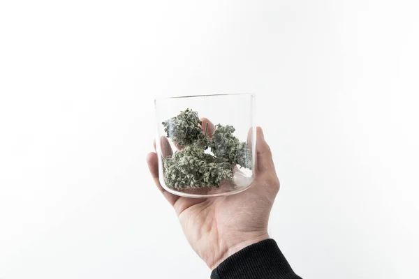 Marihuana Natuur Cannabisknoppen Glazen Pot Witte Achtergrond Cbd Thc Kruid — Stockfoto