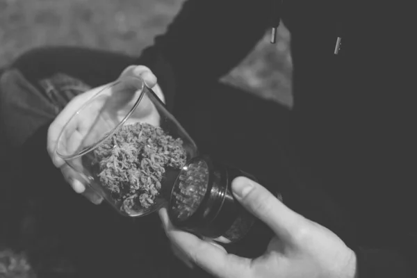 Természetes Háttér Indica Egészségi Állapota Kannabisz Természet Bimbó Kézben Sativa — Stock Fotó