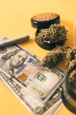Esrar tomurcuğu ve öğütücü. Indica sağlık sigortası. Marihuana tomurcuğu ve dolar banknotları. Esrar parası kara borsa. Para otu. Ekonomi 'de esrar. Esrar. Dikey çekim .