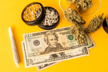 Esrar tomurcuğu ve öğütücü. Marihuana tomurcuğu ve dolar banknotları. Indica sağlık sigortası. Esrar parası kara borsa. Ekonomi 'de esrar. Esrar. Sativa THC CBD. Para otu.