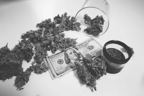 Cbd Thcハーブ 経済学の大麻 サティバの健康 マリファナの芽とドルの紙幣 大麻金闇市場 雑草だ 白地だ 鍋の芽 黒と白 — ストック写真