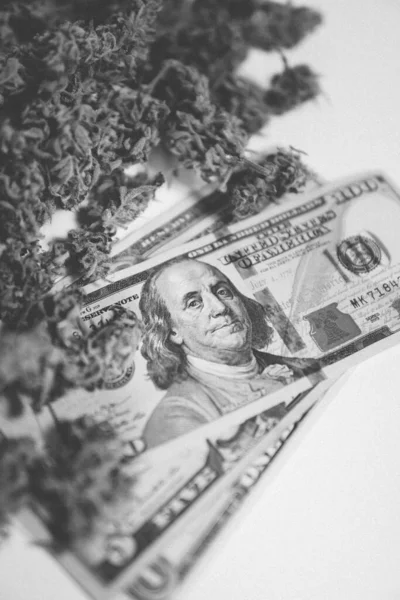 Money weed. Marijuana bud and banknotes of dollars. The pot buds. Cannabis money black market. Black and white. CBD THC herb. Sativa medical health. Cannabis in Economics . Vertical shot .