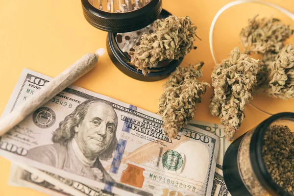 Saúde Médica Indica Bud Maconha Notas Dólares Dinheiro Cannabis Mercado — Fotografia de Stock