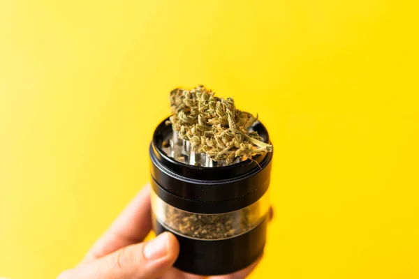 Cannabis Natuurvriend Marihuana Wiet Knop Molen Sativa Thc Cbd Gele — Stockfoto