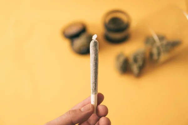 Joint weed. Cannabis nature bud. Indica medical health. The pot leaves on buds. — Stock Photo, Image