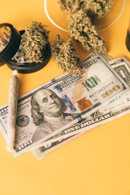 Sativa THC CBD. Ot tomurcuklara yapışıyor. Esrar tomurcuğu ve öğütücü. Esrar. Sarı arka plan. Kenevir doğa otu. Indica sağlık sigortası. Dikey çekim .