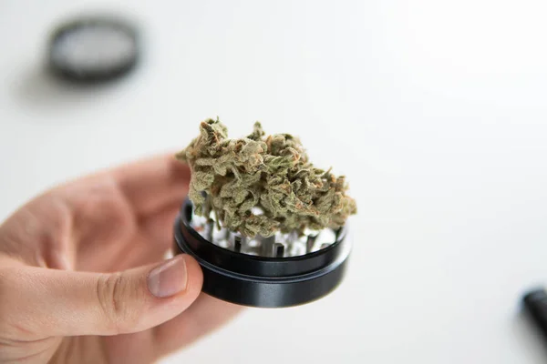 Kannabisz Füves Bimbó Daráló Marihuána Természet Bimbó Cserepes Levelek Rügyeken — Stock Fotó