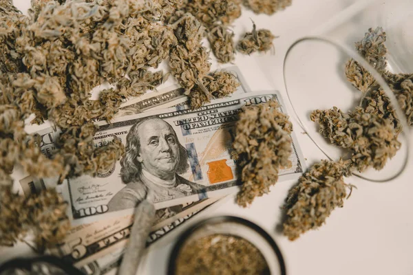 经济学中的大麻 大麻芽和美元钞票 Cbd Thc香草 Sativa医疗健康 钱是杂草 锅子发芽了 大麻钱黑市 白人背景 — 图库照片