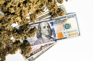 Ot tomurcukları. Esrar parası kara borsa. Beyaz arka plan. CBD THC şifalı bitkisi. Sativa tıbbi sağlığı. Ekonomi 'de esrar. Para otu. Esrar tomurcuğu ve dolar banknotları.