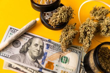 Esrar parası kara borsa. Ekonomi 'de esrar. Sativa THC CBD. Para otu. Esrar. Esrar tomurcuğu ve öğütücü. Indica sağlık sigortası. Esrar tomurcuğu ve dolar banknotları.