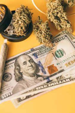 Indica sağlık sigortası. Sativa THC CBD. Ot tomurcuklara yapışıyor. Esrar tomurcuğu ve öğütücü. Esrar. Kenevir doğa otu. Sarı arka plan. Dikey çekim .