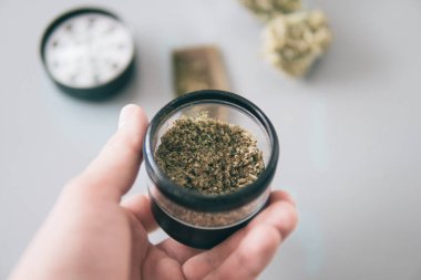 Marihuana doğa otu THC CBD. Ot tomurcuklara yapışıyor. Esrar tomurcuğu ve öğütücü. Sativa Indica tıbbi sağlığı. Beyaz arkaplan.