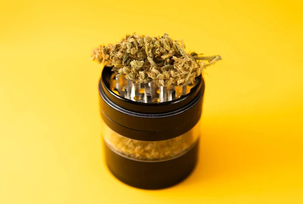 Cannabis Natuurvriend Sativa Thc Cbd Marihuana Wiet Knop Molen Pot — Stockfoto