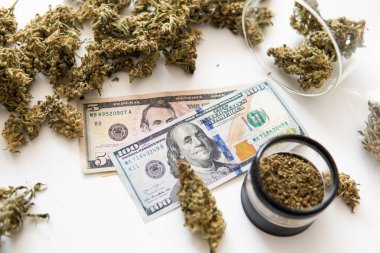 CBD THC şifalı bitkisi. Ot tomurcukları. Beyaz arka plan. Esrar parası kara borsa. Ekonomi 'de esrar. Para otu. Sativa tıbbi sağlığı. Esrar tomurcuğu ve dolar banknotları.