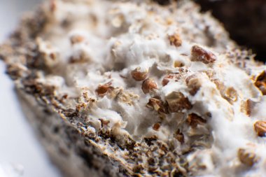 Psilosibe cubensis mantar ekimi. Makro. Makro miselyum ve buğday. Buğdaylı Psilocybe cubensis Macro miselyum. Miselyum mantarı. Mycelium, Psilocybe cubensis buğdayında. Fusarium euwallaceae.