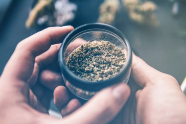 Esrarın yasallaştırılması. Kenevir tomurcuklarına ilişkin CBD ve THC.