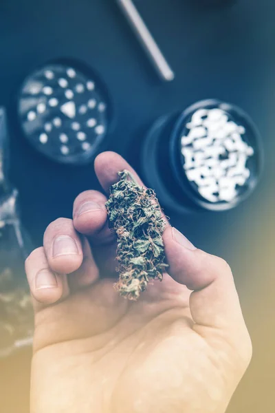 Moedor Erva Maconha Fresca Legalização Cannabis Cbd Thc — Fotografia de Stock