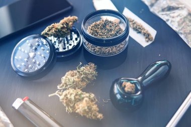 Esrarın yasallaştırılması. Kenevir tomurcuklarına ilişkin CBD ve THC.