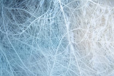 Hidroponik sistemde marihuana kökleri. Esrar yetiştirmek Indica. Esrar kökleri. Derin su kültürü. Kenevir yetiştirme. Kökleri kenevir CBD. Marihuana bitkileri.