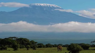 Kenya 'daki Kenya Dağı' nın güzel dağ manzarası