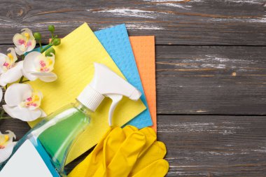 Temizlik seti. Temiz kadar bahar. Gri arka plan üzerinde