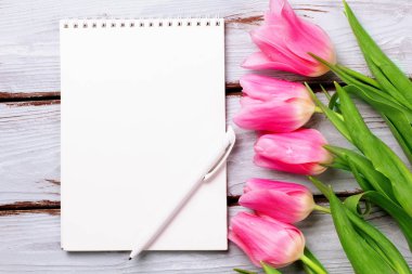 Güzel Lale mavi bir arka plan üzerinde. Üstten Görünüm