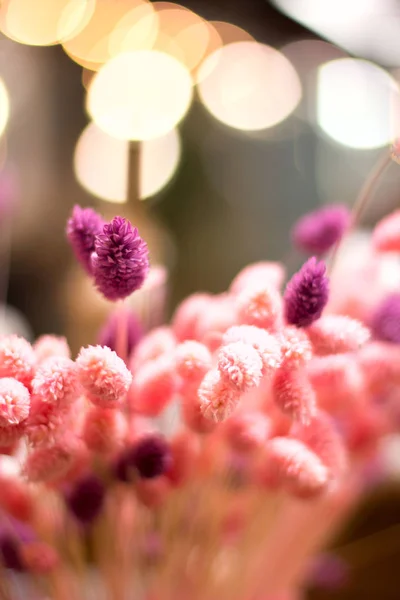 초점을 맞추지 않은 꽃. 흐린 꽃 배경. — 스톡 사진
