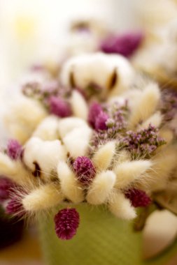 Odaklanmamış çiçekler. Bulanık çiçek arka plan.