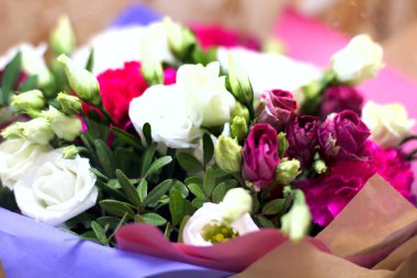 Odaklanmamış çiçekler. Bulanık çiçek arka plan. Gül