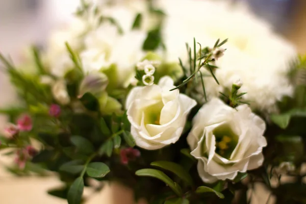 Λουλούδια χωρίς εστίαση. Θολή floral φόντο. Τριαντάφυλλα — Φωτογραφία Αρχείου