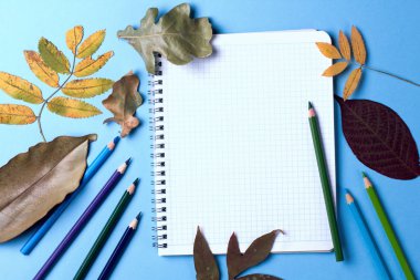 Sonbahar yaprakları ile mavi arka plan üzerinde Okul malzemeleri