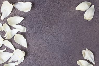 Gri arka planda şakayık yaprakları. Üstte görüntü