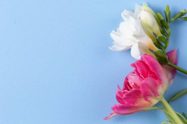 Bahar çiçeği maketi. Kopya alanı ile çiçek kompozisyonu. Düz döşeme stili