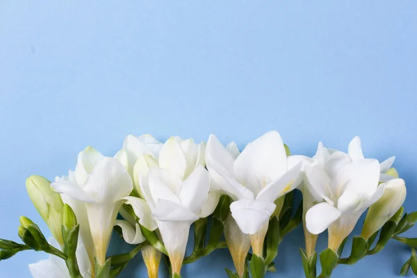 Una maqueta de flores de primavera. Composición floral con espacio de copia. Estilo laico plano —  Fotos de Stock
