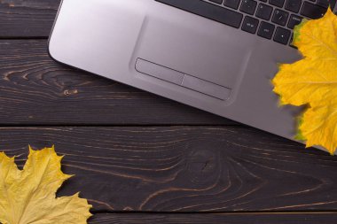 Sonbahar yapraklı, siyah ahşap arka planda dizüstü bilgisayar. Akçaağaç.