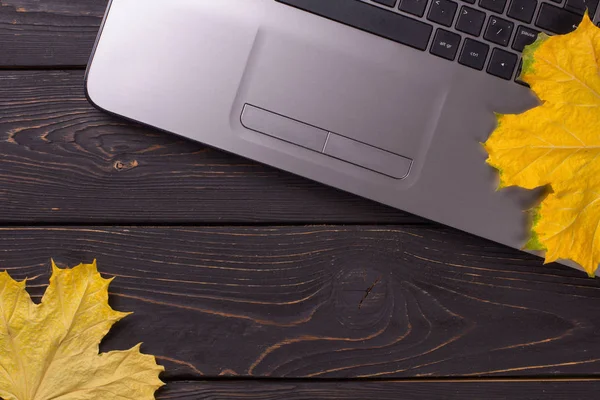 Sonbahar yapraklı, siyah ahşap arka planda dizüstü bilgisayar. Akçaağaç.