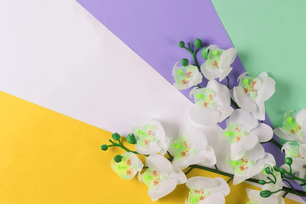 다양 한 색깔의 배경 위에 꽃다발을 놓는다. 난초 — 스톡 사진