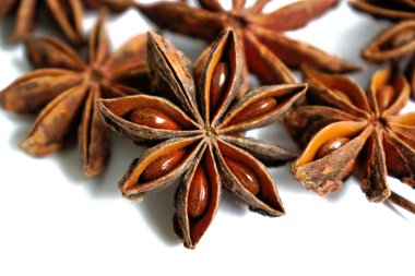 Yıldız anason beyaz bir arka plan üzerinde closeup