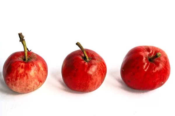 Closeup Small Apples White Background — Stock Photo, Image