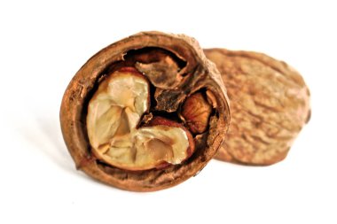 Beyaz bir arka planda ceviz closeup