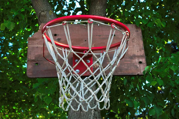 Canestro Basket Albero — Foto Stock