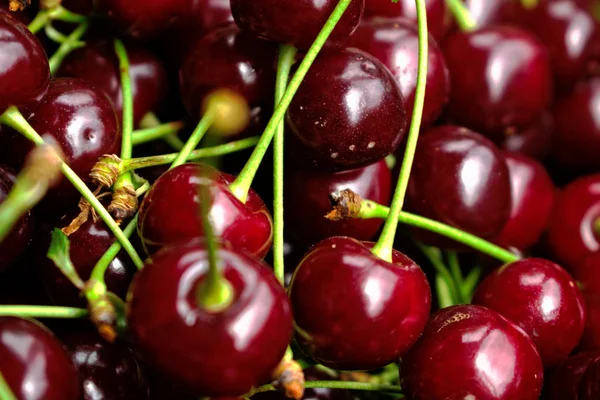 Bunch Cherries Background Texture — Stock Photo, Image