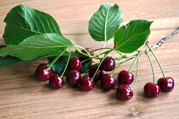 Branch Cherries Wooden Table Stock Image