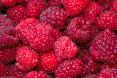 Arka plan/doku için ahududu ların kapatılması