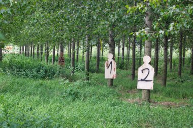 Ormanda atış hedefleri uygulama