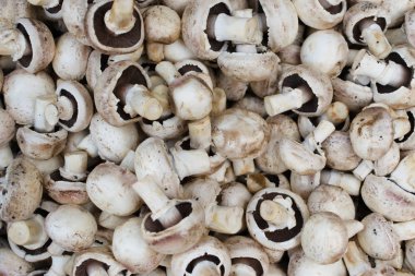 Beyaz champignon mantar arka plan